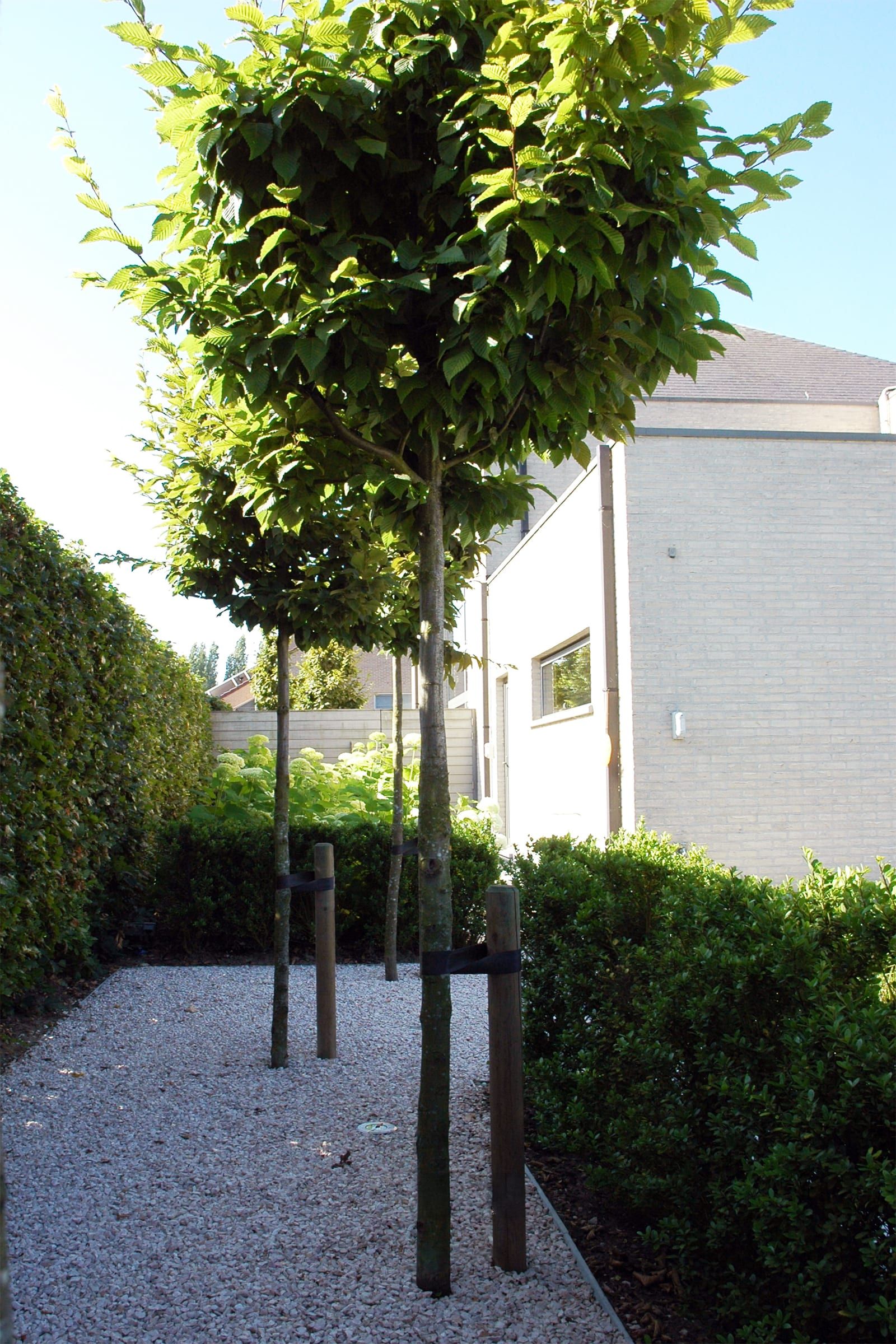 Designtuin met waterpartij 4