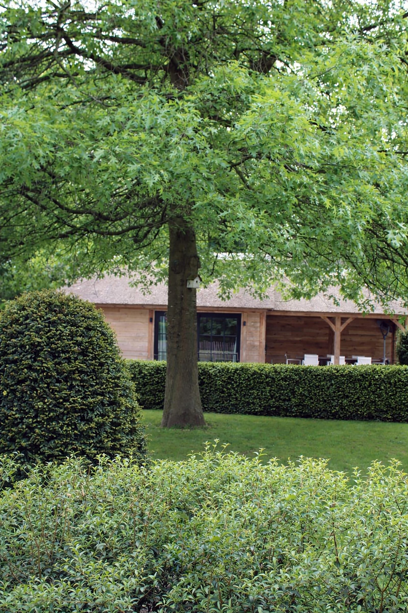 Landelijke villa tuin 4