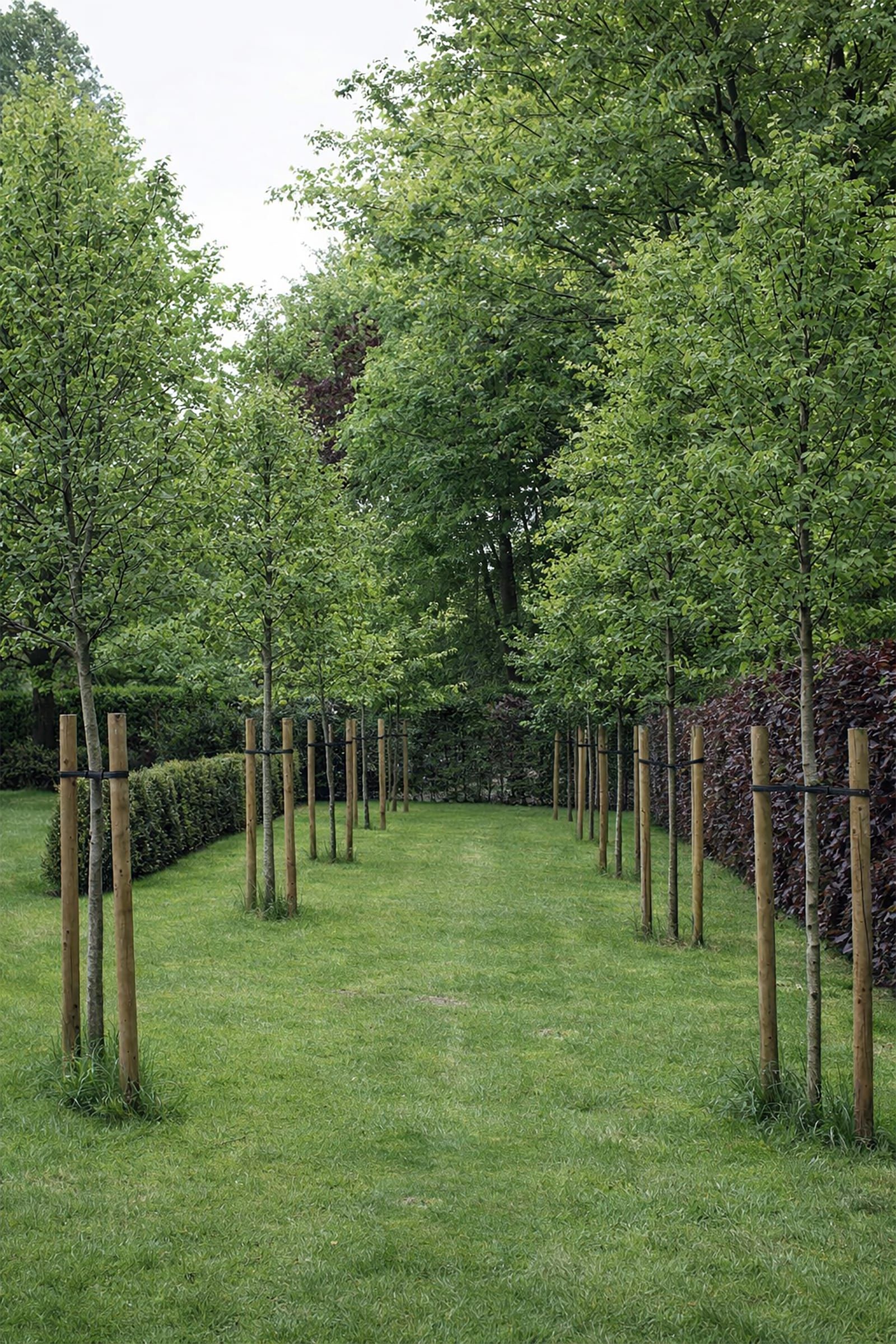 Landelijke villa tuin 5